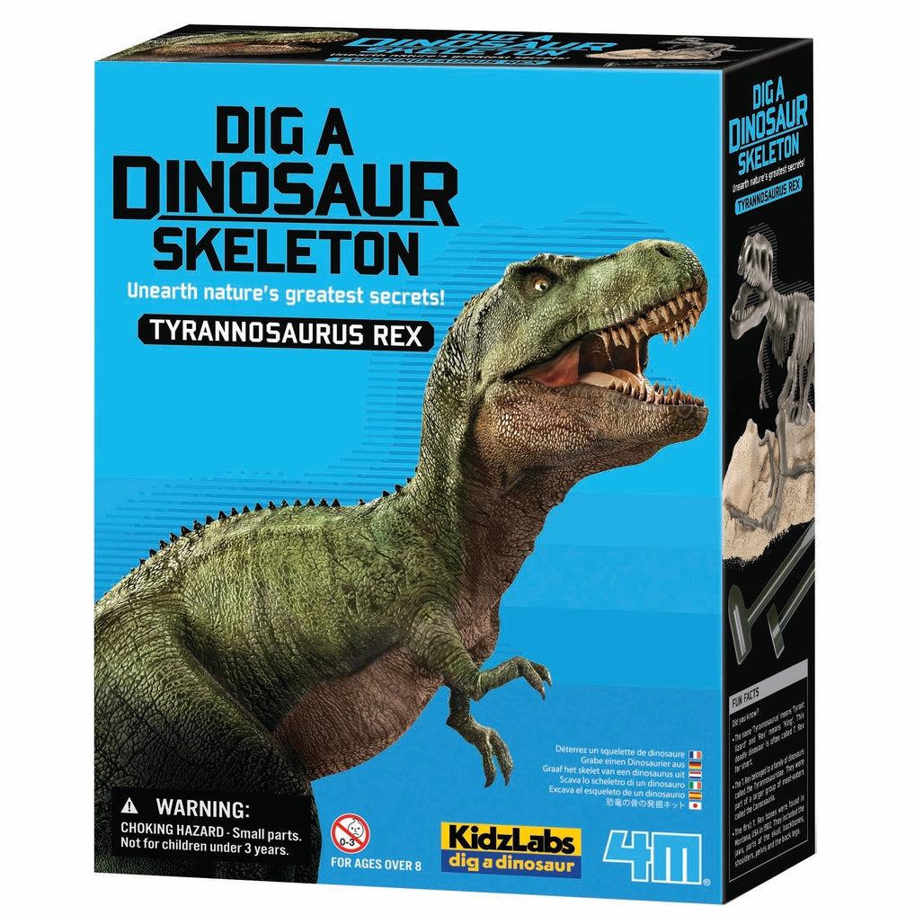 Dig A Dinosaur Skeleton